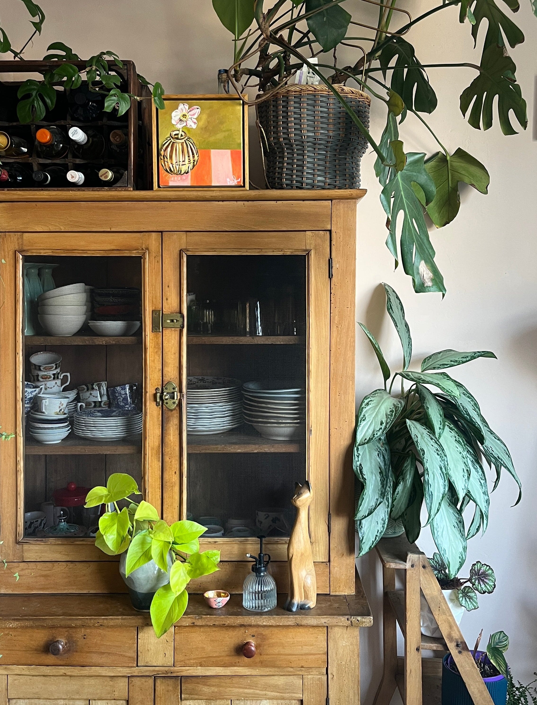 Wooden cabinet with glass doors displaying dishes, surrounded by plants in a home setting and Emma Gurner framed picture on top shelf