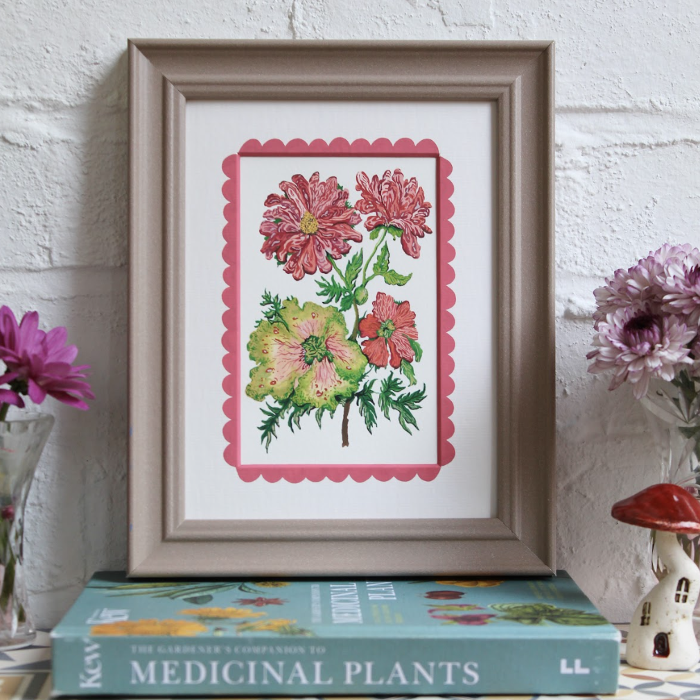 'Pink Zinnia'